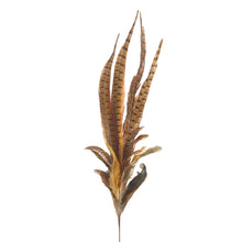 Pheasant feather spray