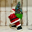 Santa with Bottlebrush Tree