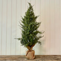 Sparkly 19" Pine Tree With Burlap Base